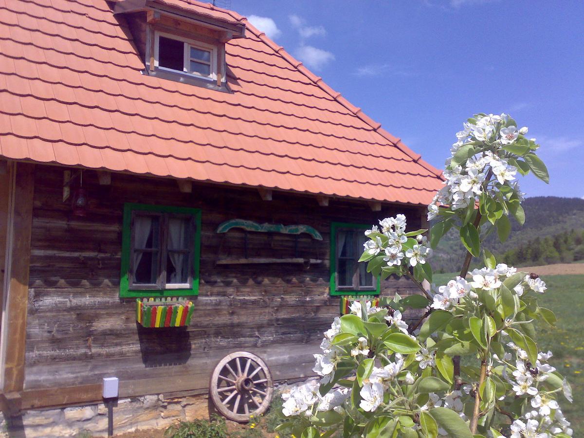 Apartments Sekler Rudno 객실 사진